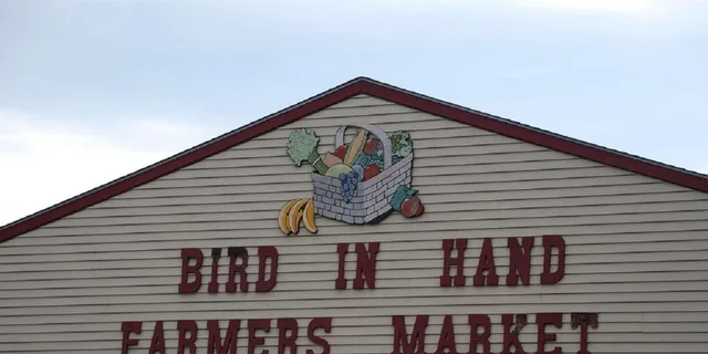 Washington D.C. Amish Farm and Village Tour - Image 6
