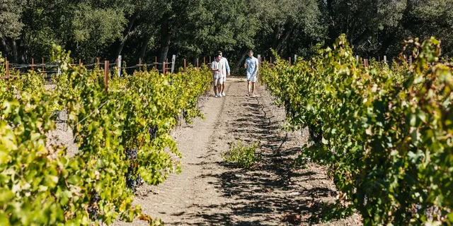 San Francisco Wine Country Tour 5.5 hr - Image 2