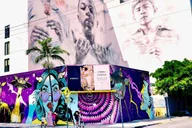 Miami South Beach, Design District & Wynwood French Tour thumbnail 6