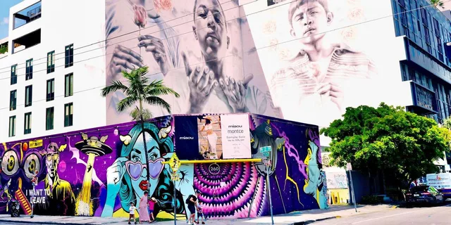 Miami South Beach, Design District & Wynwood French Tour - Image 6