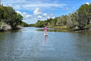 Crystal River Electric Paddleboard Tour