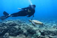 Honolulu Introductory Scuba Diving for Beginners thumbnail 2