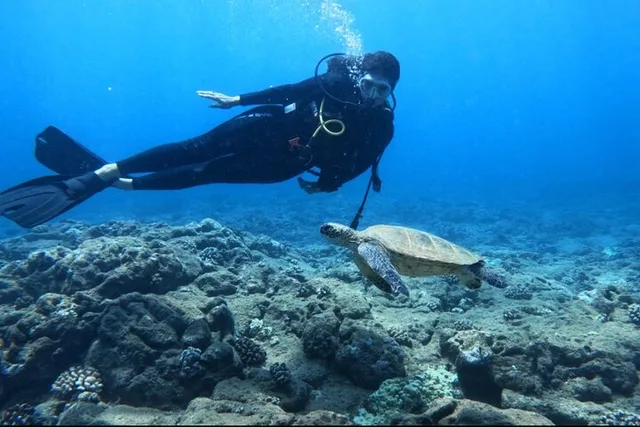Honolulu Introductory Scuba Diving for Beginners - Image 2