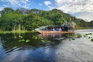 Miami Everglades Airboat Tour with Gator Encounter thumbnail 1