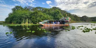 Miami Everglades Airboat Tour with Gator Encounter