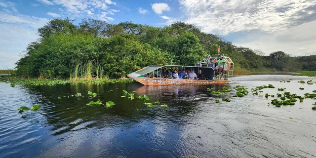 Miami Everglades Airboat Tour with Gator Encounter - Image 1