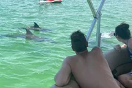 Fort Myers Dolphin and Sandbar Cruise 4 hr thumbnail 5