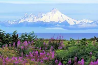 Seward to Anchorage Private Transfer thumbnail 5