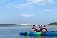Hilton Head Kayak Dolphin Nature Tour 2 hr thumbnail 4