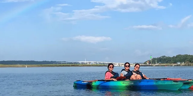 Hilton Head Kayak Dolphin Nature Tour 2 hr - Image 4