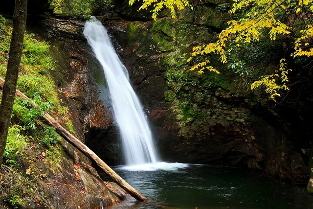 Asheville Waterfalls Hike 4 hr - Image 3