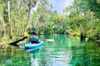 Crystal River Kayak Rental See The Manatees 3 hr