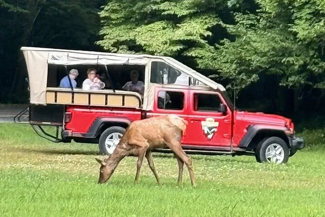 Cherokee Eco Elk Safari Jeep Adventure - Image 1