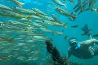 Redondo Beach Kayak and Snorkel with Sea Lions 3 hr thumbnail 1