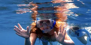 Maui Snorkel and Dolphin Adventure
