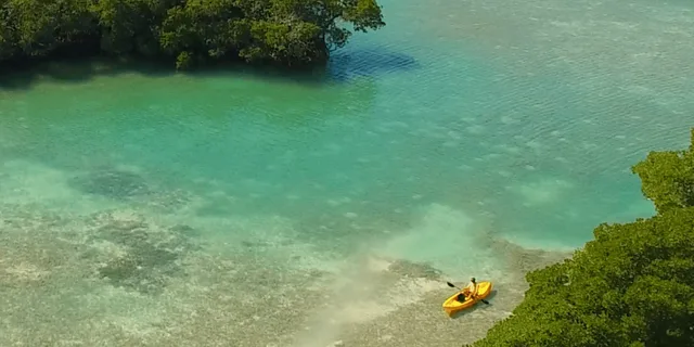 Key West Kayak, Snorkel & Morning Sail - Image 1