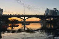 Austin Bat Bridge Kayak Tour at Sunset thumbnail 1