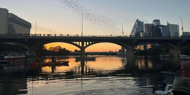 Austin Bat Bridge Kayak Tour at Sunset - Image 1