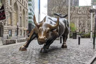 New York Wall Street Walking Tour 2 hr thumbnail 1