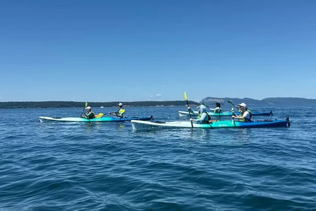 Orcas Island Coastal Kayak Tour - Image 4