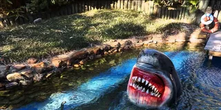 Houston City Tour with Museum and Aquarium Tickets