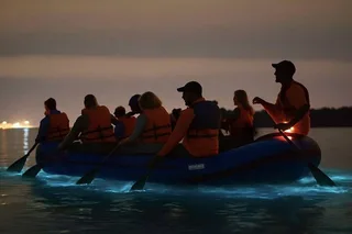 Cocoa Beach Bioluminescence Rafting Tour 90 min