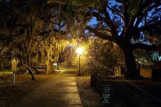 Savannah Ghost Walking Tour by Candlelight