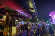 New Orleans Mid-City Bike Bar Tour thumbnail 5