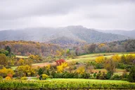 Washington Virginia Wine Tour 9 hr thumbnail 1