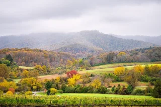 Washington Virginia Wine Tour 9 hr