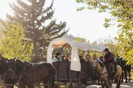 Jackson Chuck Wagon Cookout and Live Show thumbnail 2