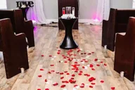 Las Vegas Unique Ceremony thumbnail 1