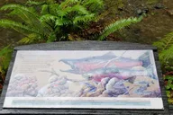 San Francisco Muir Woods and Marin Headlands Private Tour thumbnail 6