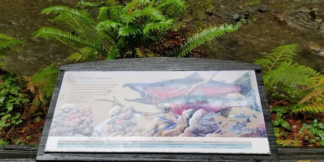 San Francisco Muir Woods and Marin Headlands Private Tour - Image 6