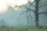 Gettysburg Paranormal Investigation at Farnsworth Inn 2 hr thumbnail 3