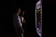 Washington DC Immersive Art Experience thumbnail 3