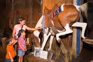 San Antonio Museum Admission thumbnail 2