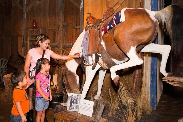 San Antonio Museum Admission - Image 2