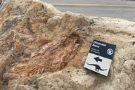 Denver Jeep Tour to Red Rocks and Dinosaur Ridge thumbnail 6