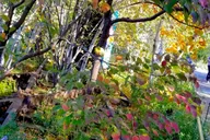 New York City High Line Park Walking Tour thumbnail 4