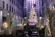 New York City Holiday Lights Walking Tour thumbnail 2