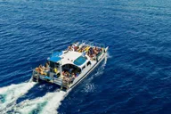 Ma'alaea Whale Watching Tour Aboard the Malolo thumbnail 5