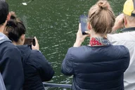 Ketchikan Wilderness Boat Cruise and Crab Feast thumbnail 1