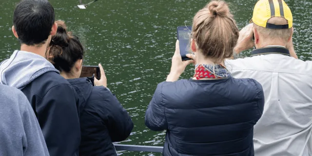 Ketchikan Wilderness Boat Cruise and Crab Feast - Image 1