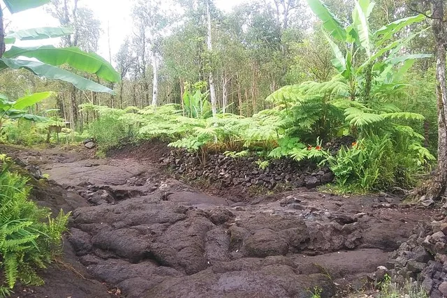 Hilo Lava Rock Jungle Art Tour 2 hr - Image 3