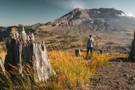 Portland Mt. Saint Helens Small Group Tour thumbnail 6