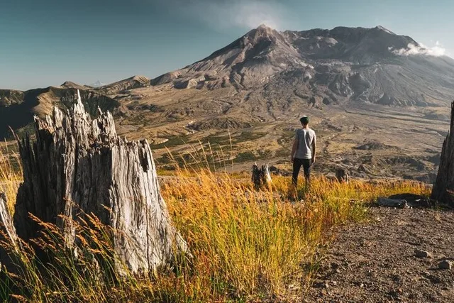 Portland Mt. Saint Helens Small Group Tour - Image 6