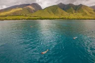 Ma'alaea Harbor Snorkeling Trip to Molokini and Turtle Arches thumbnail 6