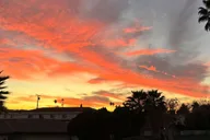 Los Angeles Guided Drive Tour thumbnail 5