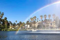 Los Angeles Swan Boat Rental in Echo Park thumbnail 5